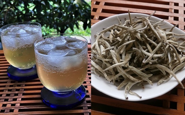 単芽炭酸割茶葉